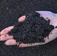 Biochar,  Climate Saving Soils, CO2 opslag, duurzame landbouw