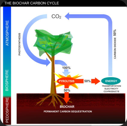 Pyrolyse biochar